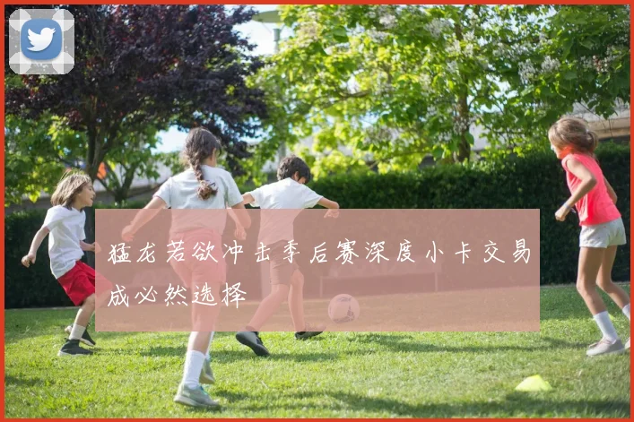 猛龙若欲冲击季后赛深度小卡交易成必然选择