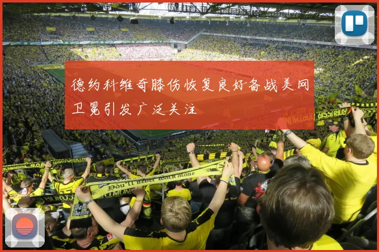 德约科维奇膝伤恢复良好备战美网卫冕引发广泛关注